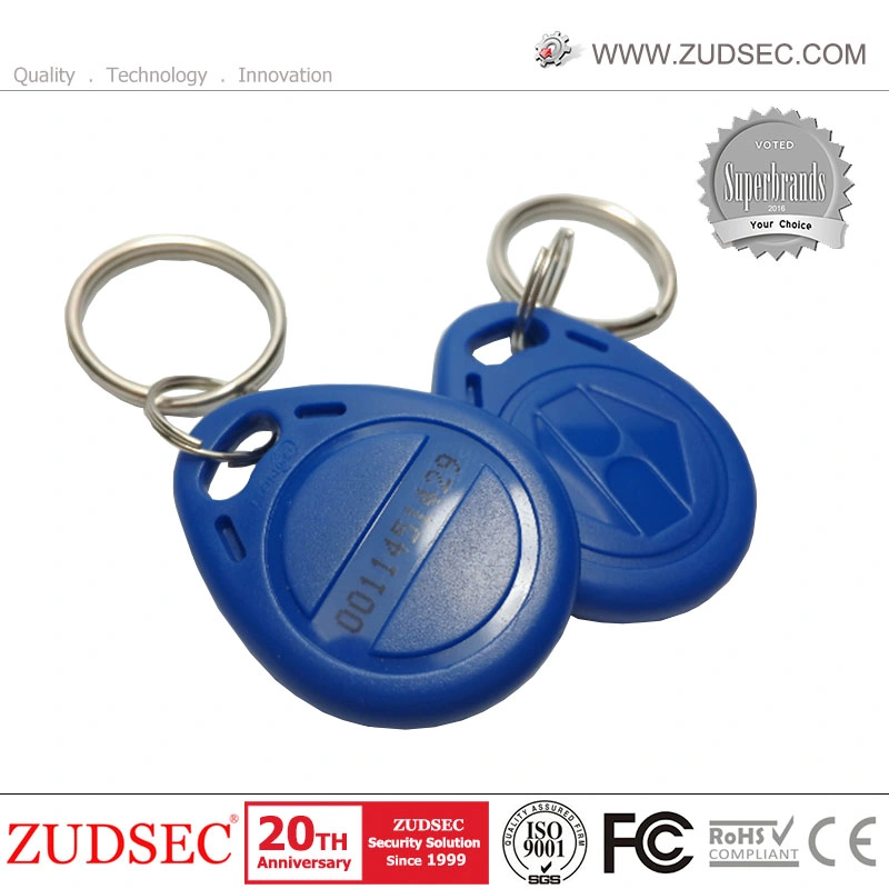 125kHz Chips ID Card RFID Tag /Key Fobs